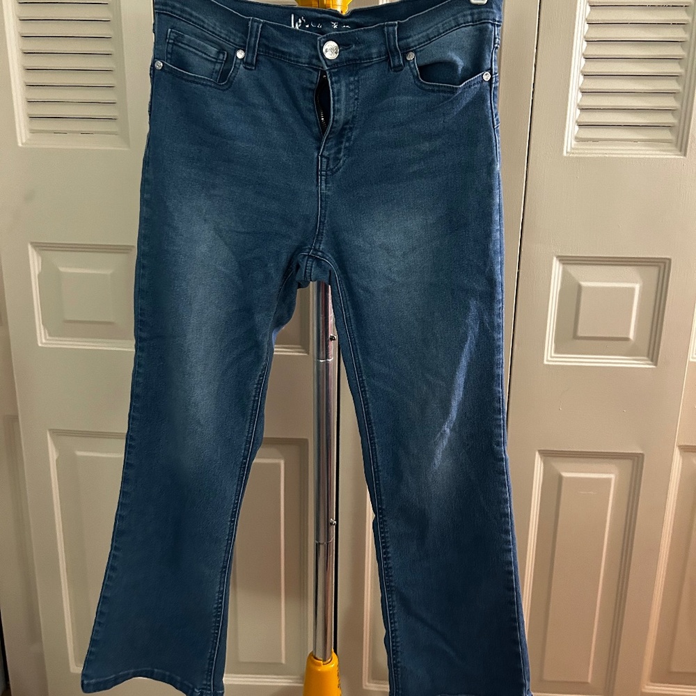 Large Petite Diane Gilman Straight Leg Jeans